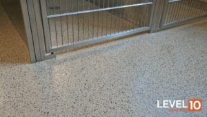 animal wellness Crown Point, IN