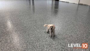flooring systems for the animal wellness industry Crown Point, IN