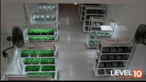 flooring systems for cannabis industry Crown Point, IN